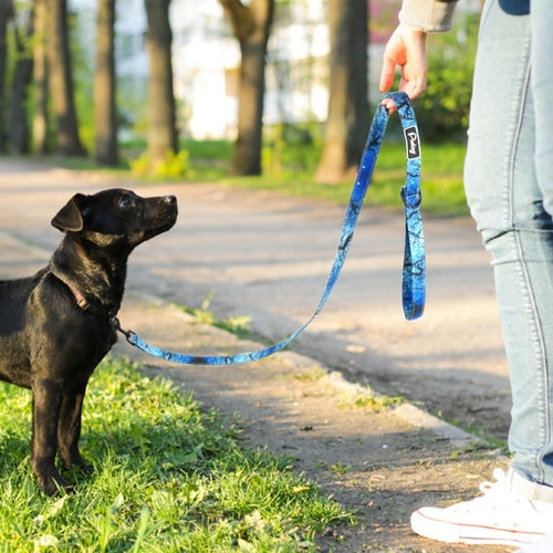 Fashion Nylon Dog Leash Lead Printed Pet Puppy