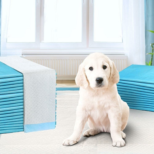i.Pet Pet Training Pads 400pcs 60x60cm Puppy Dog Toilet Pee Indoor