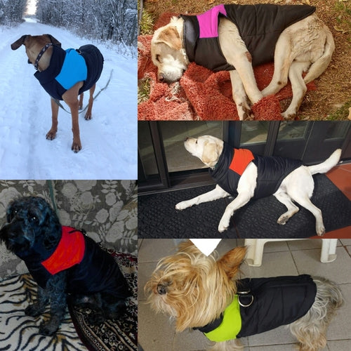 Waterproof Pet Dog Puppy Vest Jacket Chihuahua