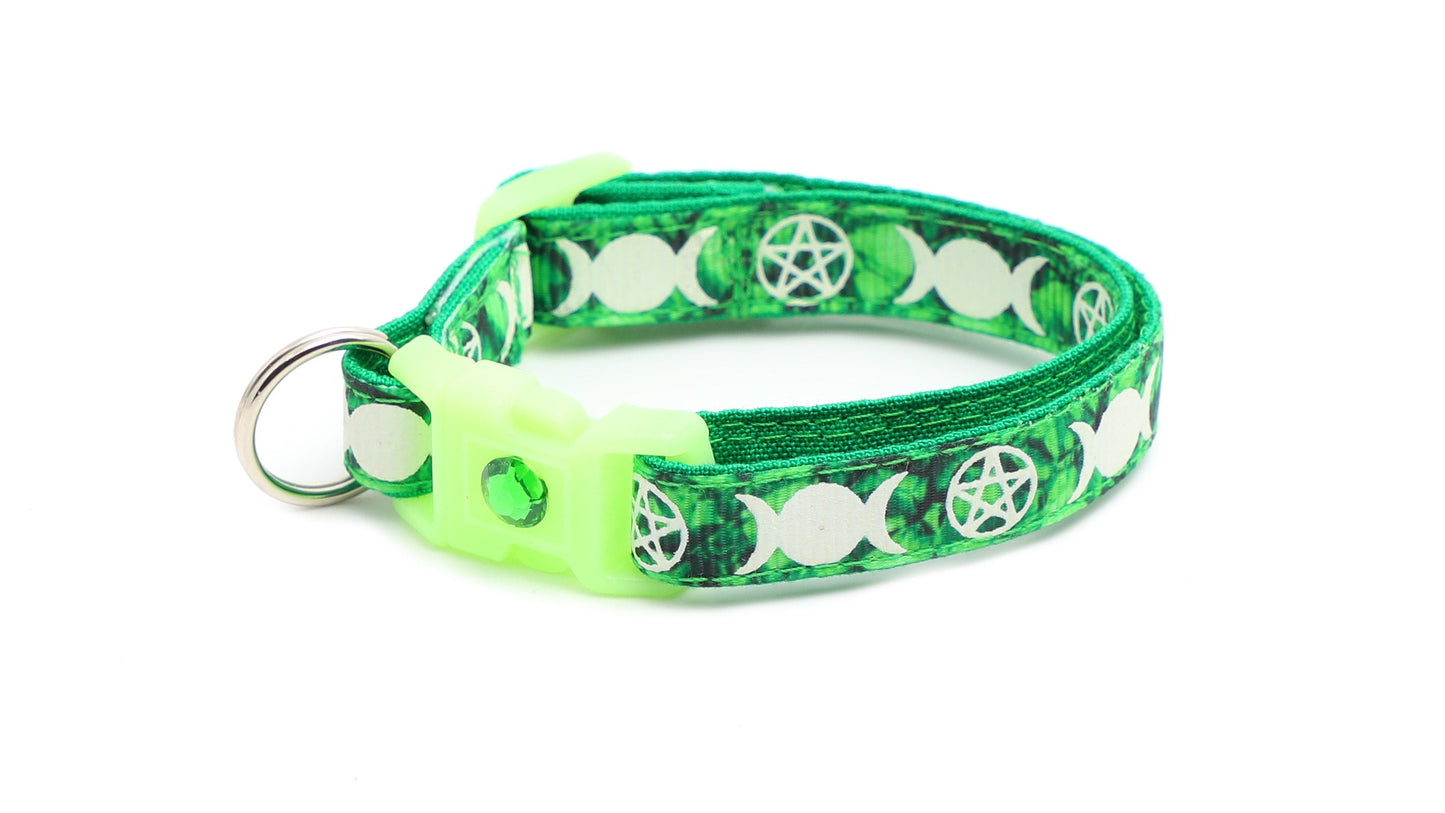 Witch's Familiar on Emerald Cat Collar